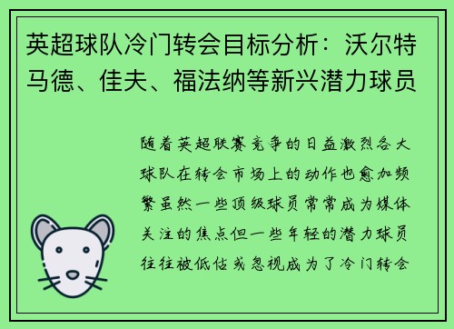 英超球队冷门转会目标分析：沃尔特马德、佳夫、福法纳等新兴潜力球员揭秘