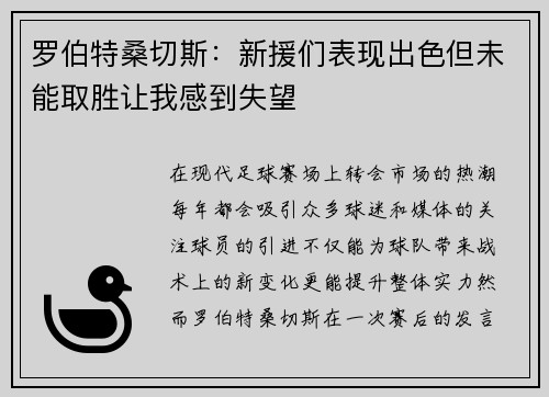 罗伯特桑切斯：新援们表现出色但未能取胜让我感到失望