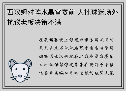 西汉姆对阵水晶宫赛前 大批球迷场外抗议老板决策不满